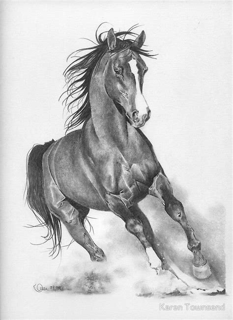 It's the same with a horse's shoulders: Gallery For > Horse Pencil Drawing | Horse pencil drawing ...
