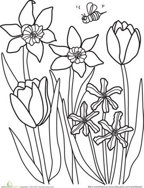 We've custom drawn all of these and they include lots of your favorite spring things like rainbows, flowers, birds, bunnies and more! Color the Spring Flowers | Flower coloring sheets, Spring coloring sheets, Spring pictures to color