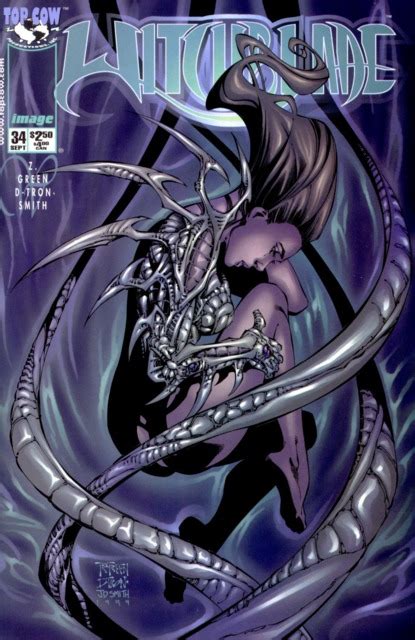 Witchblade 24 Issue