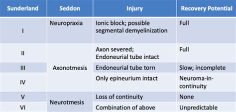 Brachial Plexus Injuries Flashcards Quizlet