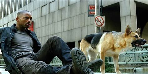 I Am Legend Sequel Starring Original Cast Officially In The Works Joe