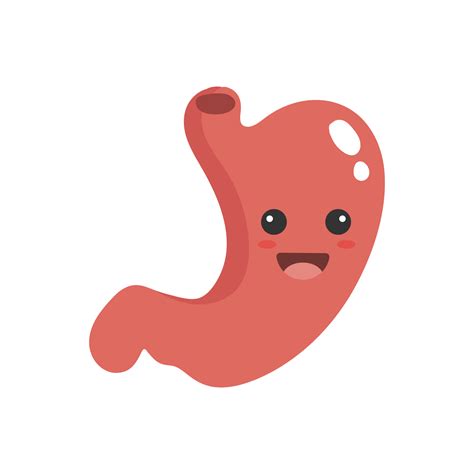 Cute Cartoon Stomach Stomach Illustration 10789823 Png