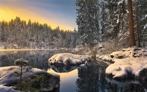 Landscape Photo Of Body Of Water Surrounded By Trees Filled With Snow