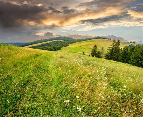 Large Meadow With Herbs Trees In Mountain Area Stock Image Image Of