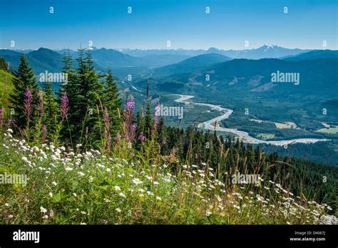 Sauk Mountain Trailhead View To Skagit River Valley Mount Baker