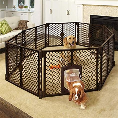 Best Rv Dog Fences For 2021 Where You Make It