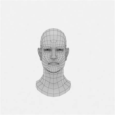 Human Baby Head Low Poly Base Mesh 3d Model 10 Unknown Fbx Ma