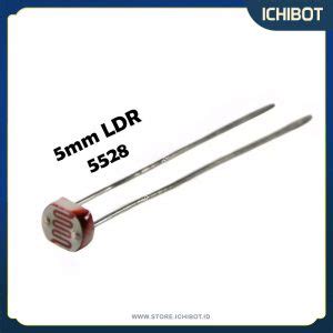 Ldr Mm Light Dependent Resistor Photoresistor Sensor Ichibot Store