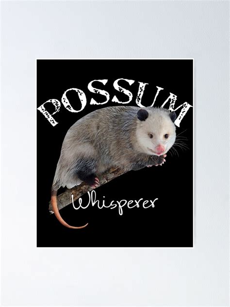 Possum Shirt Possum Whisperer I Love Possums Poster For Sale By Well Wornflower Redbubble