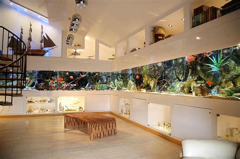 Amazing Custom Freshwater Aquarium Build With 94000 Pricetag Reef