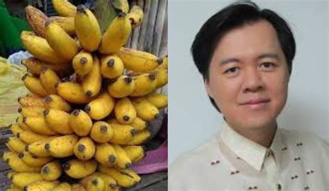 Read the guidelines at the traveler information page. Doc. Willie Ong: "Hindi solusyon ang saging sa COVID-19 ...