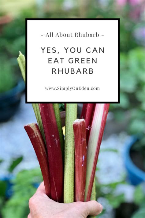 Yes You Can Eat Green Rhubarb Rhubarb Rhubarb Recipes Buy Flowers