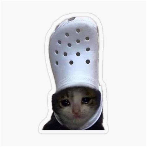 Crying Cat Croc Meme Sticker By Bgsmall Redbubble