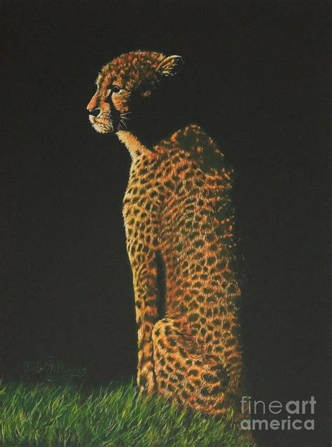 Cheetah At Sunset Painting By Bob Williams