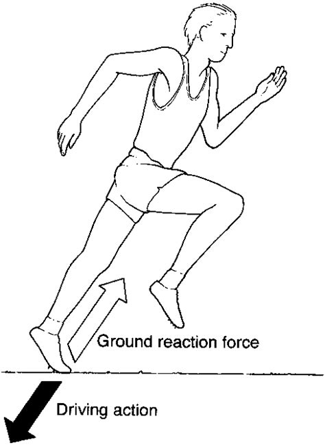 Jays Physio Ground Reaction Force A Definition