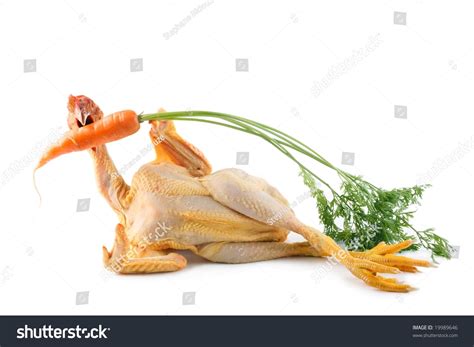 Nude Chicken Holding Biting Fresh Carrot Stock Photo 19989646