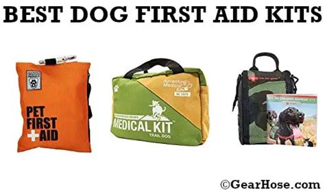 Top 8 Best Dog First Aid Kits For Camping And Outdoors Updated 2020