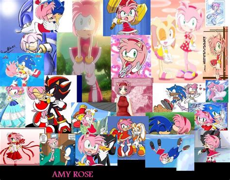 Amy Rose Amy Rose Photo 17856811 Fanpop