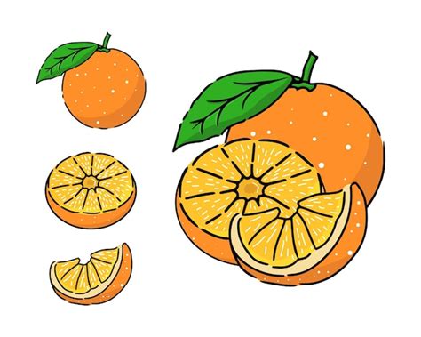 Naranjafrutasvector Vector Premium
