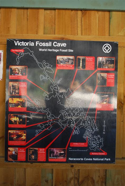 Victoria Fossil Cave Map Naracoorte Caves National Park A Photo On