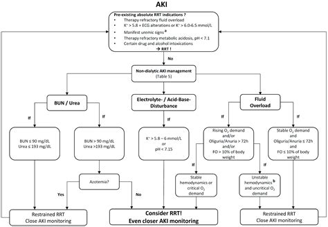 Ijms Free Full Text Issues Of Acute Kidney Injury Staging And