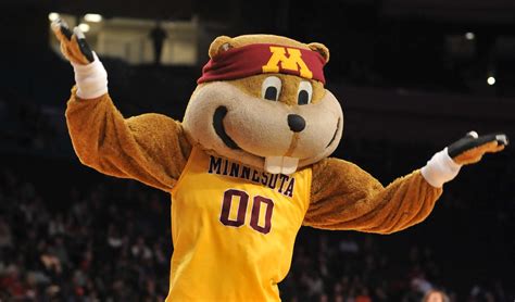 Watch The Minnesota Golden Gopher Join Long Tradition Of Mascots