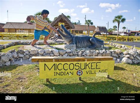 Miccosukee Indian Village Florida Usa Stock Photo Alamy