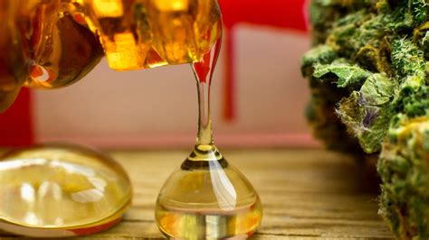 How To Make Thc Distillate Everything You Need To Know Wikileaf