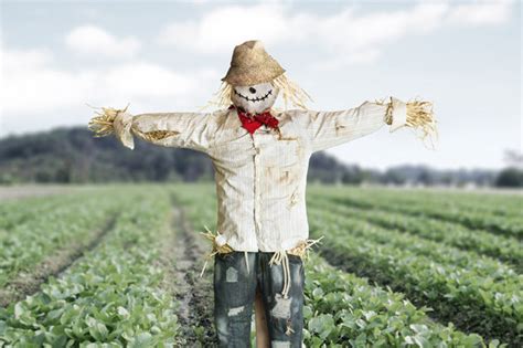 Lonely Man Dead After Having Sex With Scarecrow Daily Star