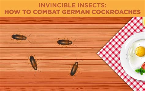 In business since 1982, do it yourself pest control has been the #1 seller of pest control products online since 1996. Do Your Own Pest Control German Roaches : They claim long term residuals or the bait goes back ...