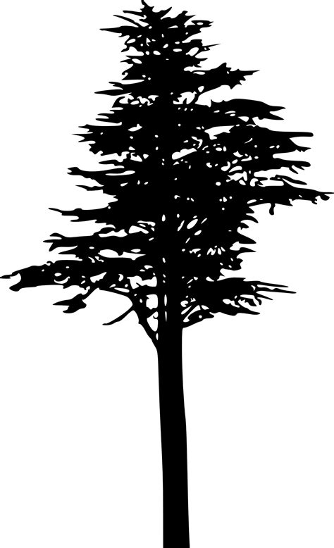 Best Ideas For Coloring Pine Tree Silhouette