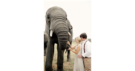 South African Safari Wedding With Elephants Popsugar Love And Sex Photo 36