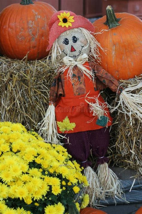 Scarecrow And Pumpkin Autumn Decoartion Picture Image 6467146