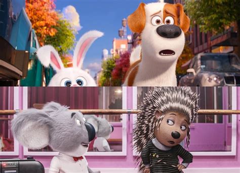 Keep checking rotten tomatoes for updates! 'Secret Life of Pets 2' Is Pushed Back, 'Sing 2' Gets 2020 Release Date