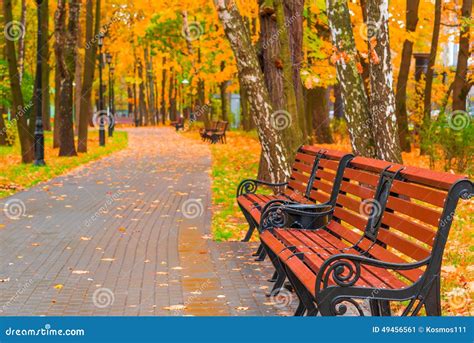 Beautiful Autumn Park With Benches Stock Image Image Of Branch