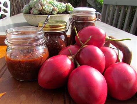 Traditional Tamarillo Chutney Chutney Pickling Recipes Tomatillo
