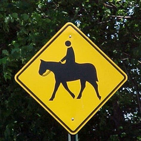 Horse Crossing Free Stock Photo Freeimages