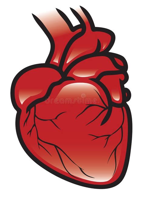 Estilo Plano De Icono De Corazón Humano Ilustración Del Vector