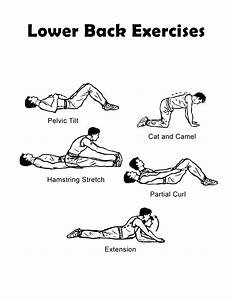 Lower Back Exercise Chart