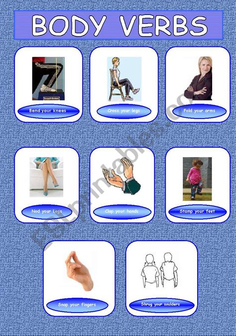 Body Movement Combinations Between Verbs And Body Vocabulary Esl