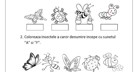 Fisa De Lucru Insecte Domeniul Limba Si Comunicare Grupa Mare