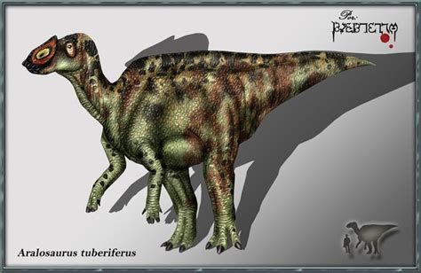 Aralosaurus Pictures And Facts The Dinosaur Database