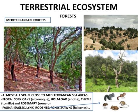 Check spelling or type a new query. Natural Ecosystems unit 5