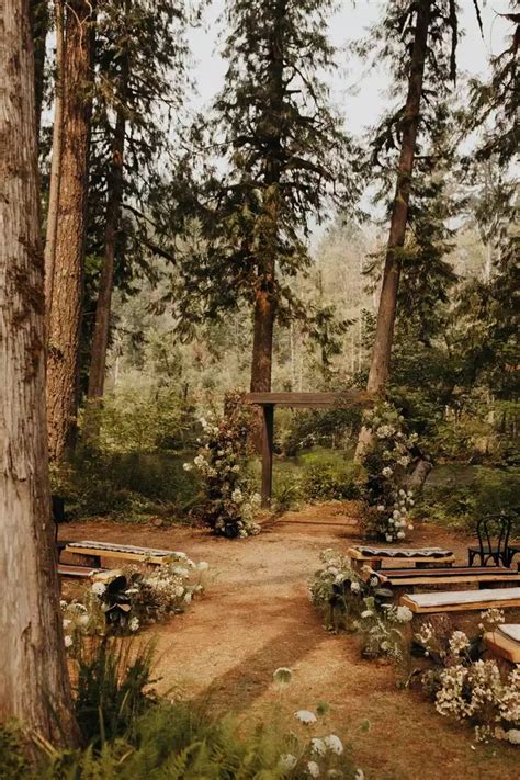 An Outdoor Ceremony In The Woods With Benches And Flowers On The Ground