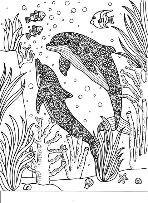 Like letmecolor.wordpress.com on facebook and receive new coloring pages in your timeline! 310 best coloring dolphin, whale, shark images on ...