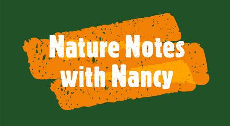 Nature Notes With Nancy Saugeen Valley Conservation Authority