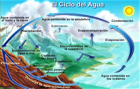Ejemplo 1 Diagrama Del Ciclo Hidrologico Natural Images