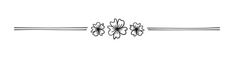 cute floral page divider doodle illustrations simple flower border line art 20434480 vector art