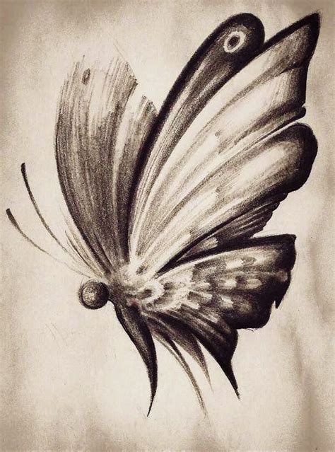 Dibujos A Lapiz Sombreados De Mariposas Dibujos De Mariposas A Lapiz