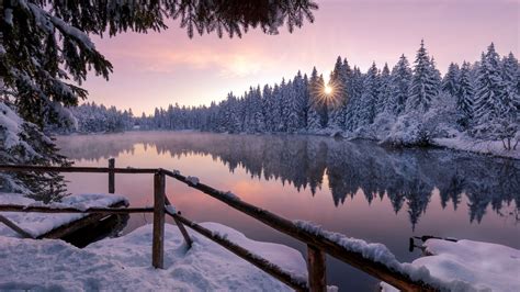 X Winter Snow Trees Nature Outdoors K HD K Wallpapers Images Backgrounds Photos And